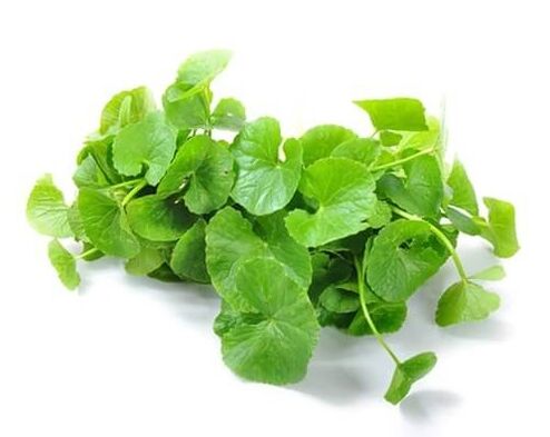 Weiprost contains centella asiatica (centella asiatica)